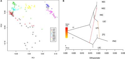 Discovery of Genomic Characteristics and Selection Signatures in Southern Chinese Local Cattle